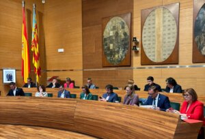 Pleno ordinario Diputación de Valencia